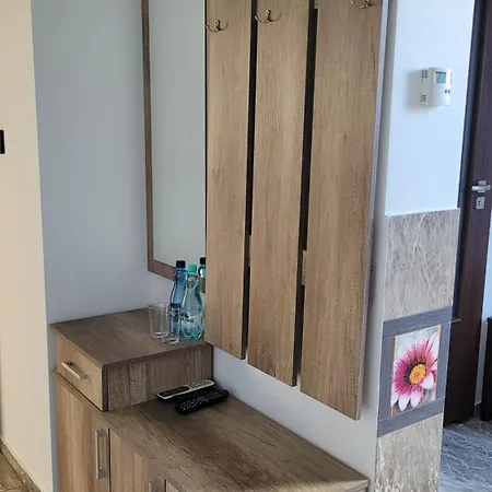 Pensión Goscinne Pod Kokoczem *