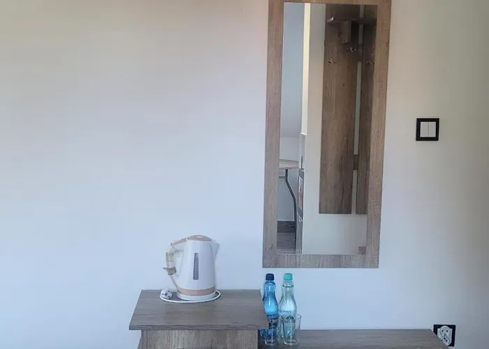 Gasthuis Goscinne Pod Kokoczem *